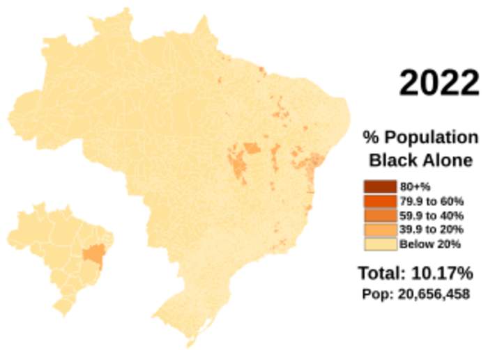 Afro-Brazilians: Ethno-racial group in Brazil