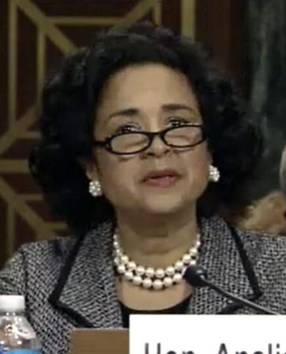 Analisa Torres: American judge (born 1959)