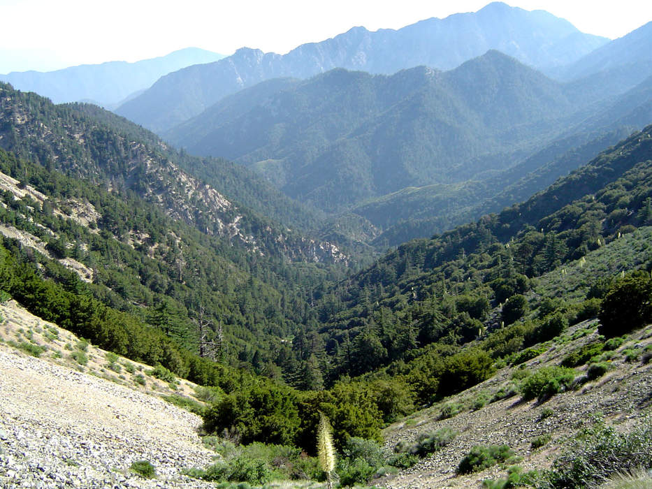 Angeles National Forest: National forest in California, United States