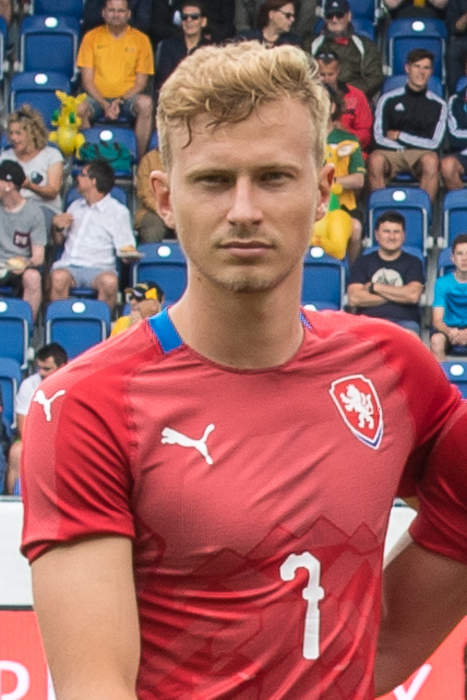 Antonín Barák: Czech footballer (born 1994)