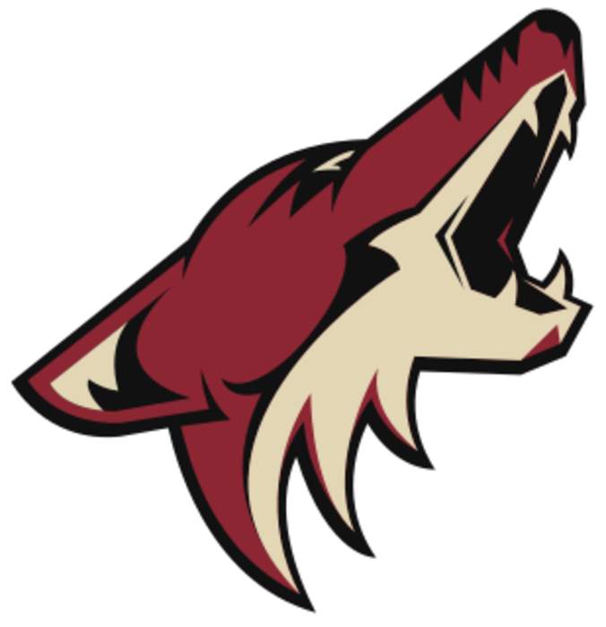 Arizona Coyotes: Inactive National Hockey League team