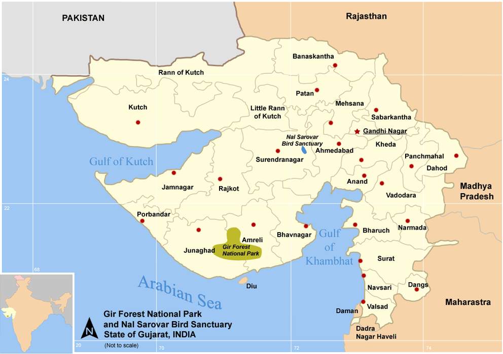 Asiatic Lion Reintroduction Project: Initiative to prevent extinction of Asiatic lions