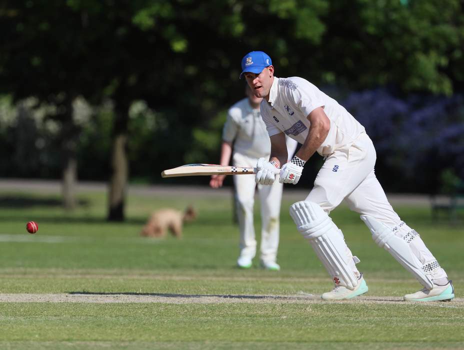 Beau Webster: Australian cricketer