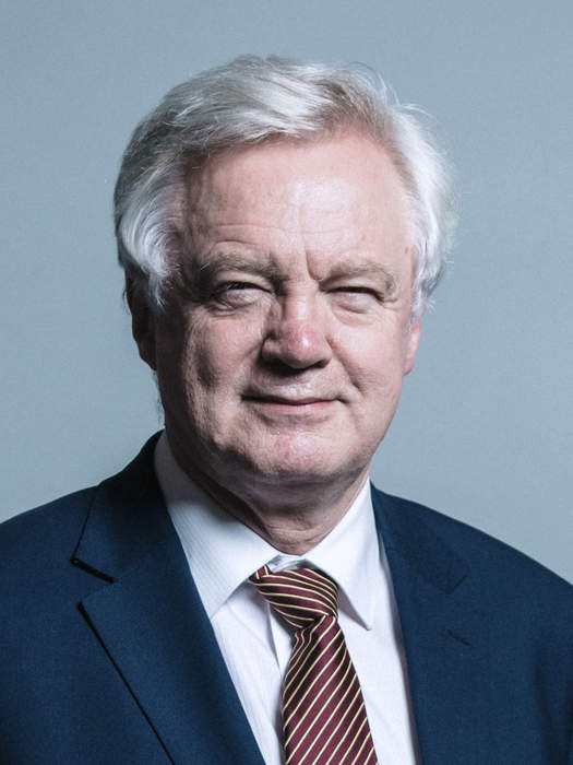 David Davis (British politician): British politician (born 1948)