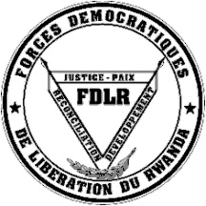 Democratic Forces for the Liberation of Rwanda: Rebel group in the DR Congo