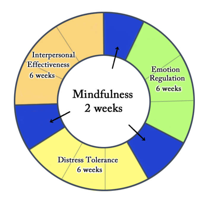 Dialectical behavior therapy: Psychotherapy for emotional dysregulation