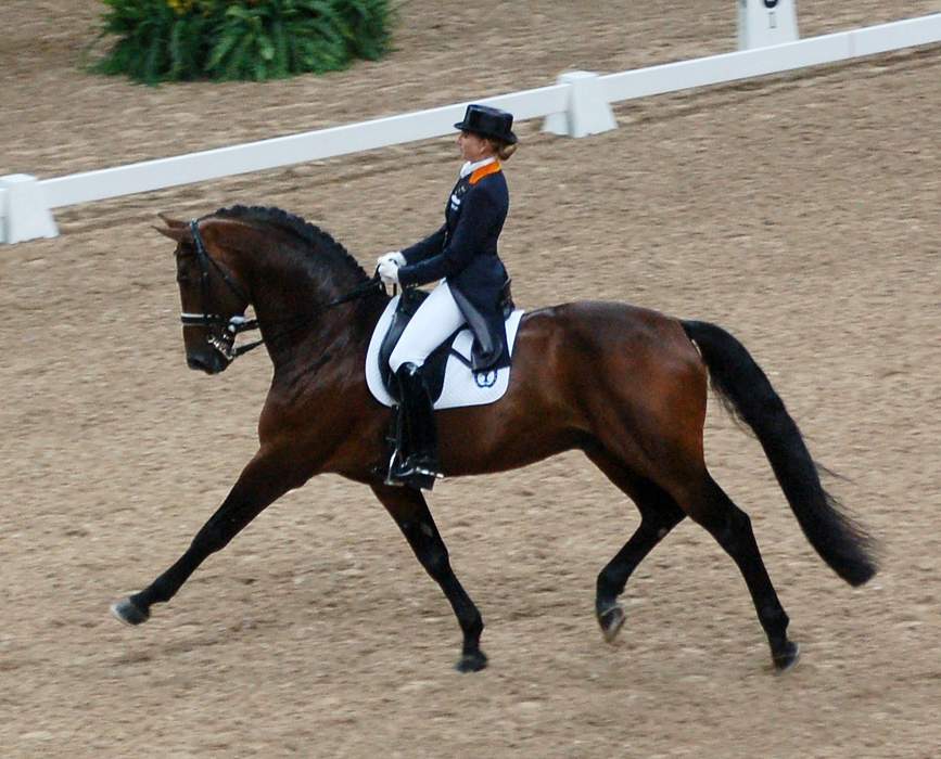 Dressage: Equestrian sport and art