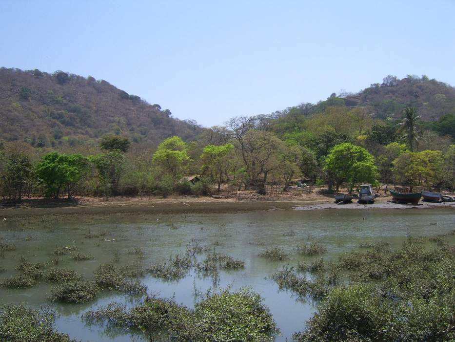 Elephanta Island: Island of the Mumbai Harbour, India, containing historic caves