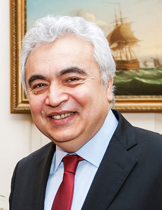 Fatih Birol: Turkish economist and energy expert