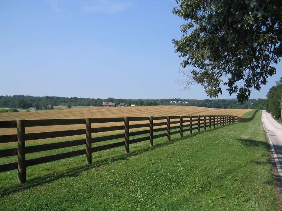 Fence: Freestanding structure preventing movement across a boundary