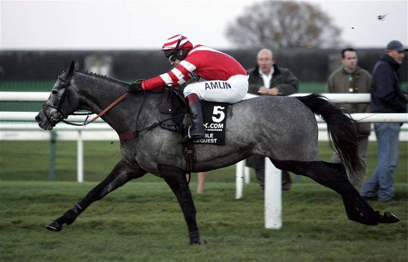 Fighting Fifth Hurdle: Hurdle horse race in Britain