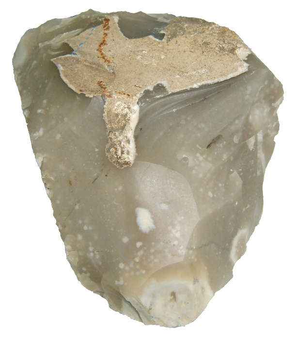 Flint: Cryptocrystalline form of the mineral quartz