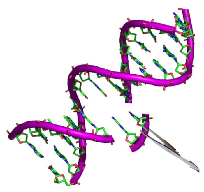 Genome editing: Type of genetic engineering