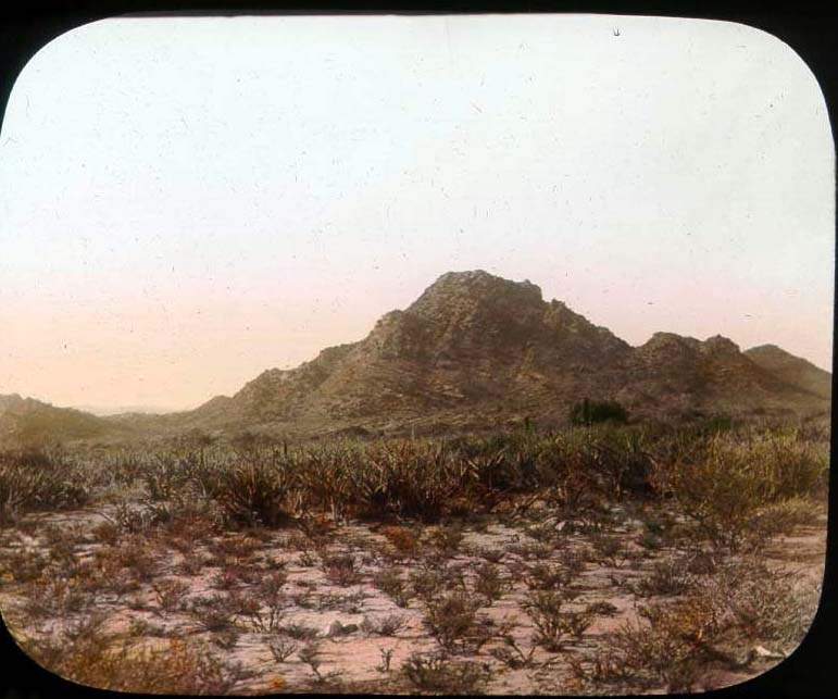 Golis Mountains: Mountains in northern Somalia