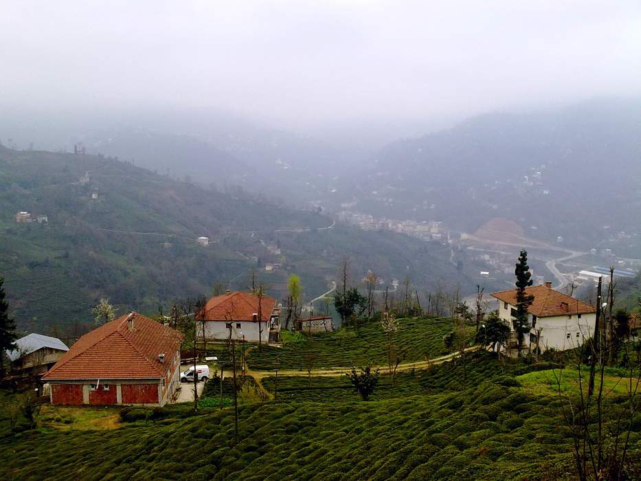 Güneysu: Municipality in Rize, Turkey