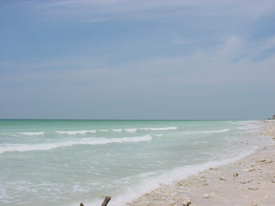 Honeymoon Island State Park: State park in Florida, United States