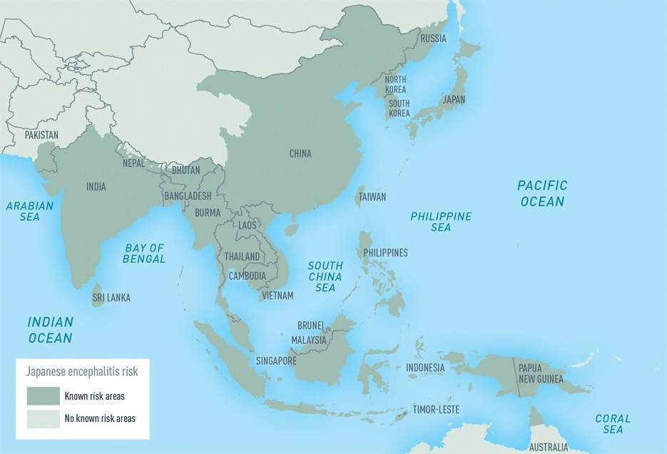 Japanese encephalitis: Infection of the brain caused by the Japanese encephalitis virus