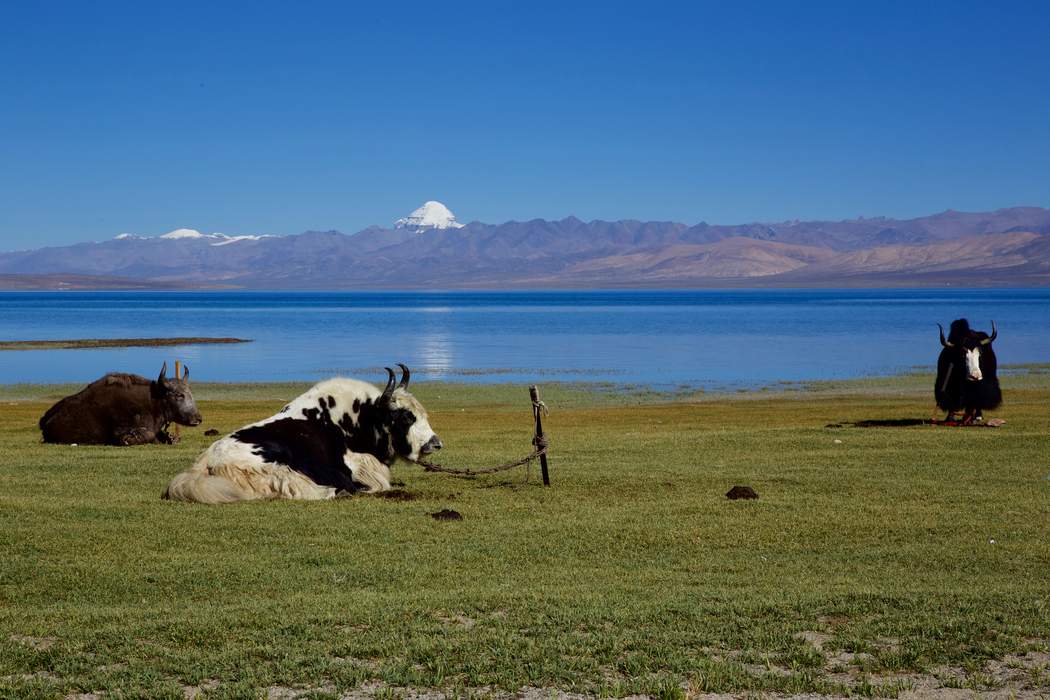 Lake Manasarovar: Freshwater lake in the Tibet Region