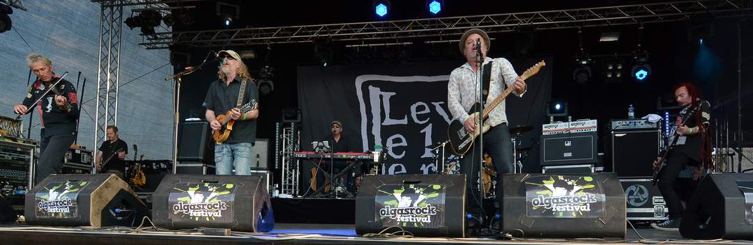 Levellers (band): English folk rock band