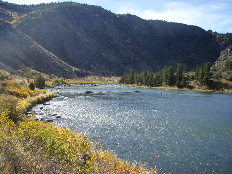 Madison River: River in Wyoming and Montana, United States