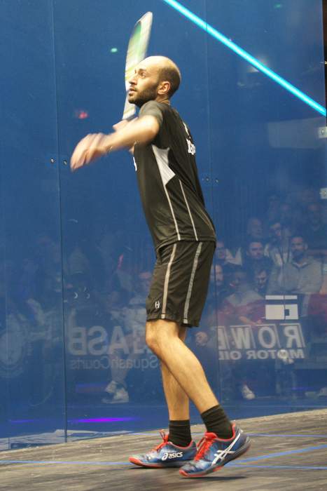 Marwan El Shorbagy: Egyptian squash player