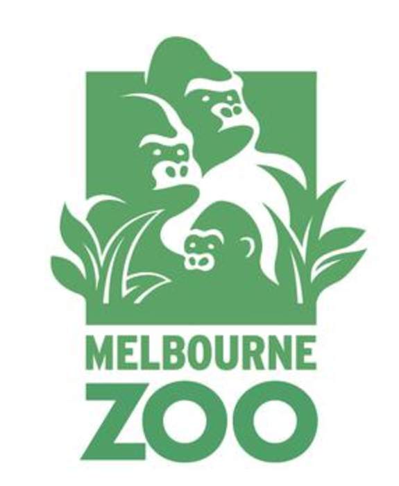 Melbourne Zoo: Zoo in Melbourne, Victoria, Australia