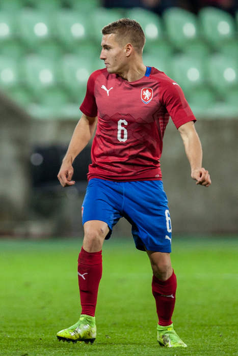 Michal Sadílek: Czech footballer