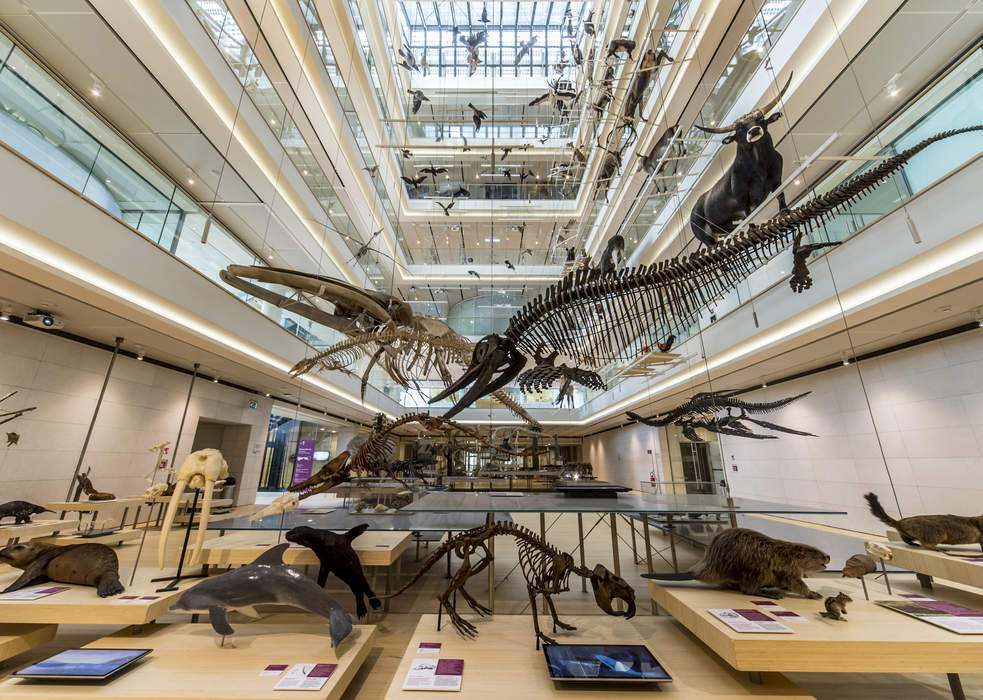 Museo delle Scienze: Science museum in Trento, Italy