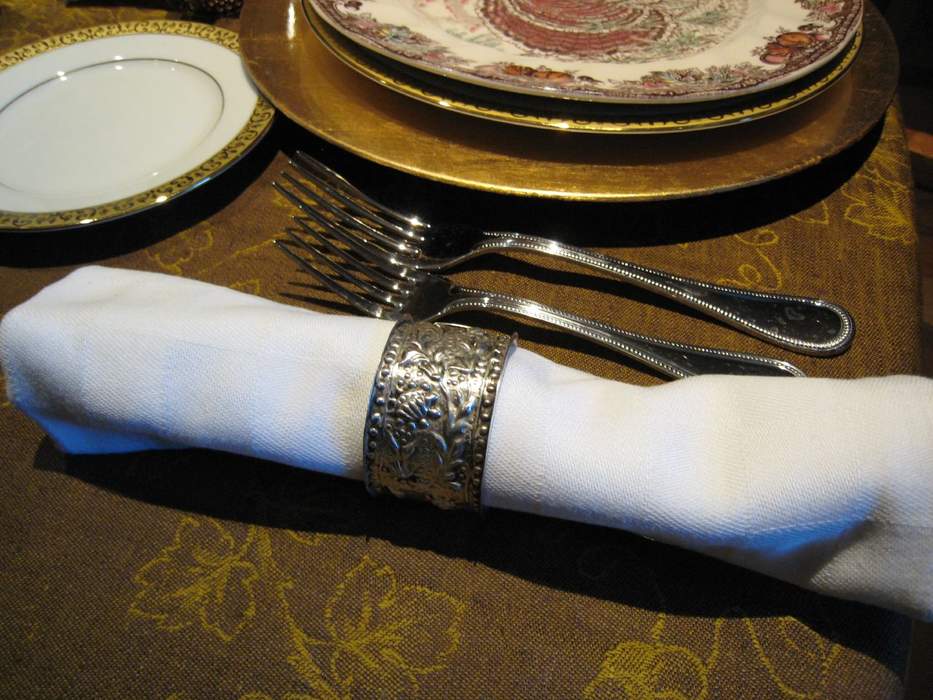 Napkin: Square of cloth used for wiping hands