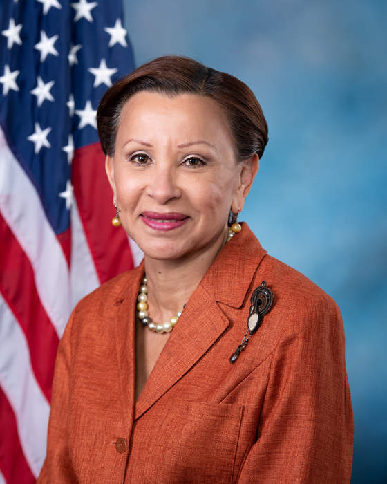 Nydia Velázquez: American politician (born 1953)