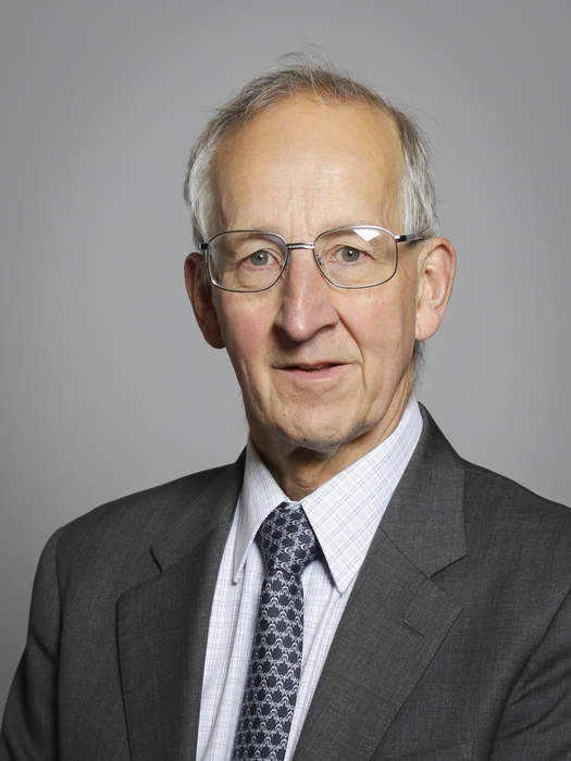 Peter Ricketts: British senior diplomat and life peer