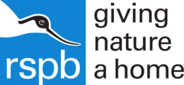 Royal Society for the Protection of Birds: Charitable organisation focused on the conservation of birds and other wildlife in the UK