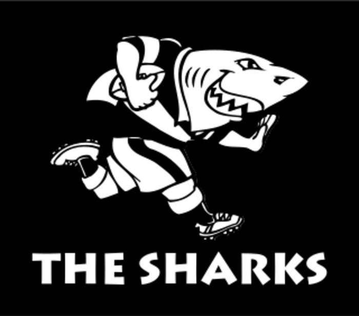 Sharks (rugby union): Rugby team