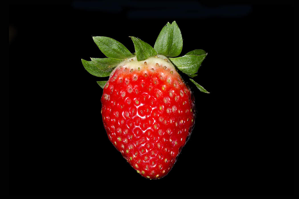 Strawberry: Edible fruit