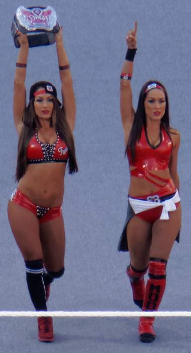 The Bella Twins: Former American professional wrestling team