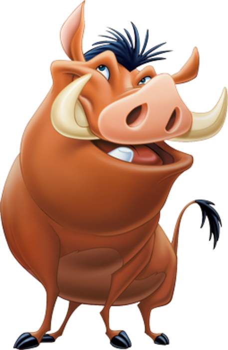 Timon and Pumbaa: Fictional meerkat and warthog duo from Disney's The Lion King franchise