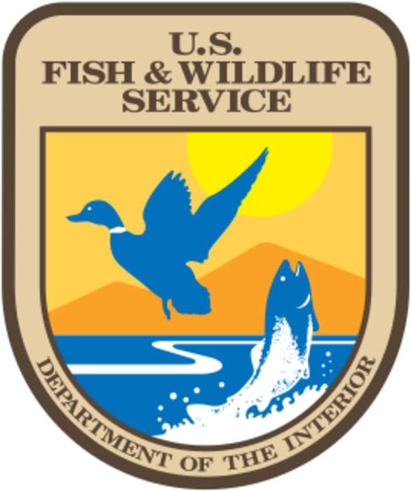 United States Fish and Wildlife Service: United States federal government agency