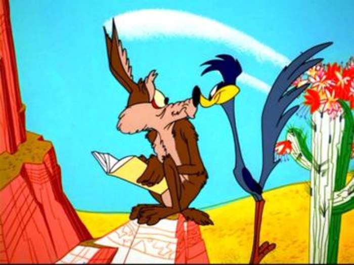 Wile E. Coyote and the Road Runner: Warner Bros. theatrical cartoon characters