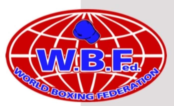 World Boxing Federation: Professional boxing organization