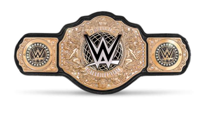 World Heavyweight Championship (WWE): Men's professional wrestling championship